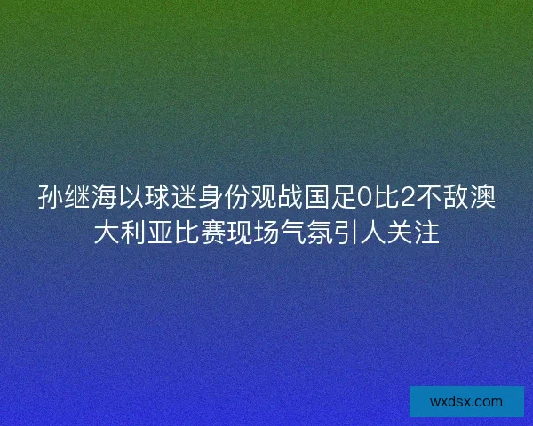 孙继海以球迷身份观战国足0比2不敌澳大利亚比赛现场气氛引人关注 孙继海以球迷身份观战国足0比2不敌澳大利亚比赛现场气氛引人关注