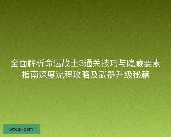 全面解析命运战士3通关技巧与隐藏要素指南深度流程攻略及武器升级秘籍