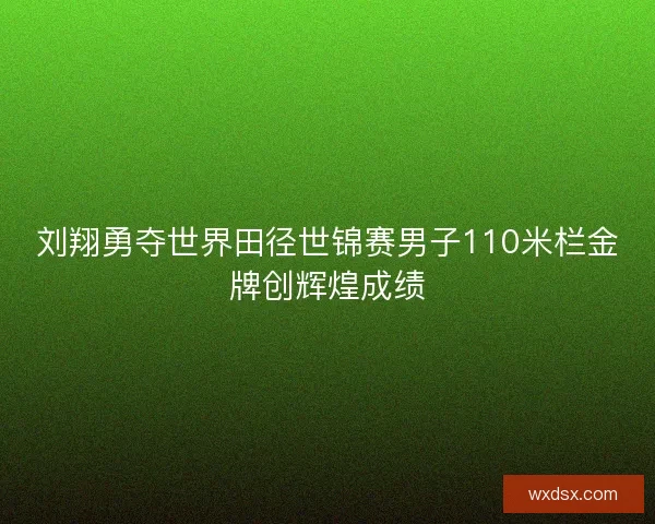刘翔勇夺世界田径世锦赛男子110米栏金牌创辉煌成绩