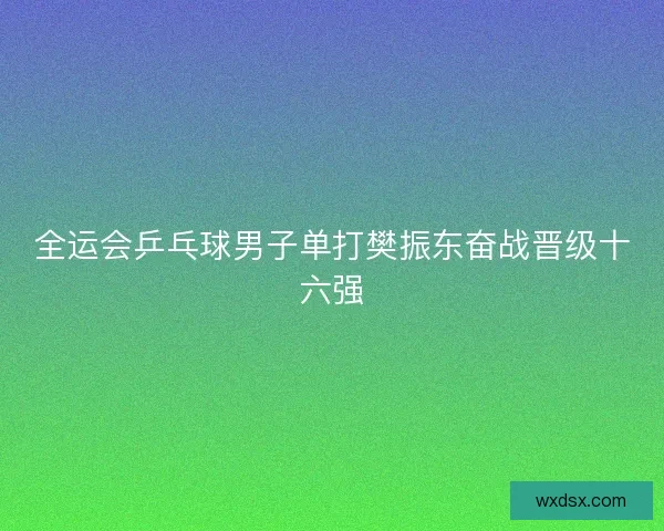 全运会乒乓球男子单打樊振东奋战晋级十六强 全运会乒乓球男子单打樊振东奋战晋级十六强