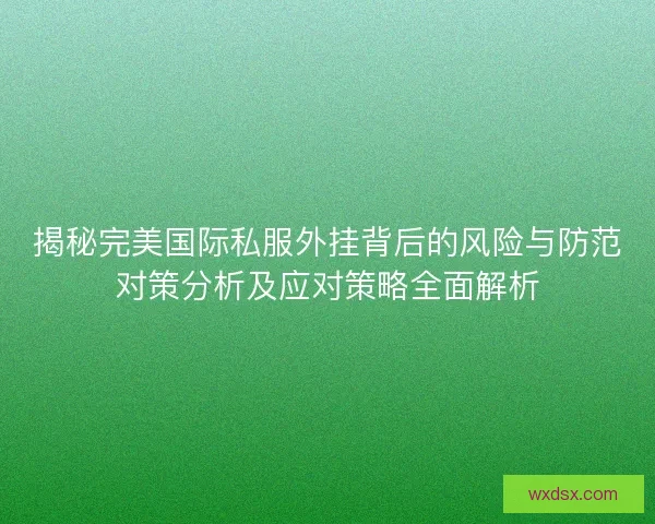 揭秘完美国际私服外挂背后的风险与防范对策分析及应对策略全面解析 揭秘完美国际私服外挂背后的风险与防范对策分析及应对策略全面解析