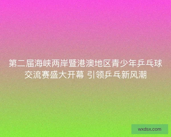 第二届海峡两岸暨港澳地区青少年乒乓球交流赛盛大开幕 引领乒乓新风潮