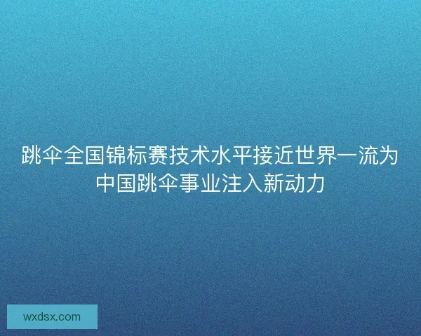 跳伞全国锦标赛技术水平接近世界一流为中国跳伞事业注入新动力