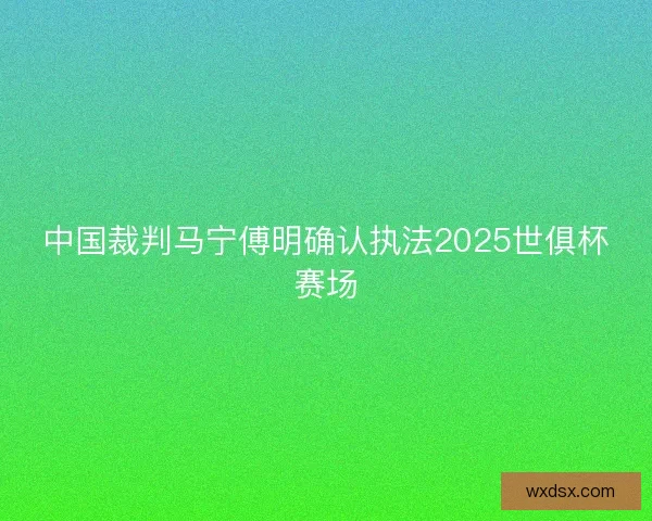 中国裁判马宁傅明确认执法2025世俱杯赛场 中国裁判马宁傅明确认执法2025世俱杯赛场