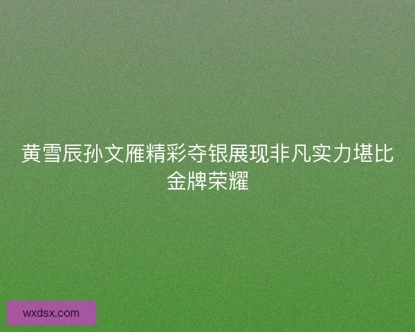黄雪辰孙文雁精彩夺银展现非凡实力堪比金牌荣耀 黄雪辰孙文雁精彩夺银展现非凡实力堪比金牌荣耀