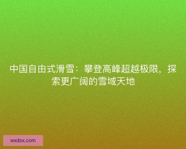 中国自由式滑雪：攀登高峰超越极限，探索更广阔的雪域天地